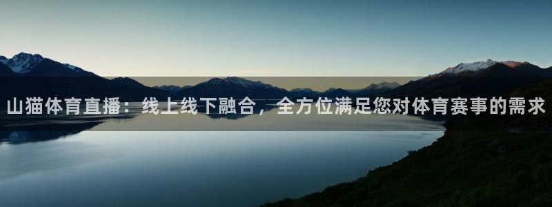 nba直播在线观看说球帝：山猫体育直播：线上线下融合，全方位满足您对体育赛事的需求
