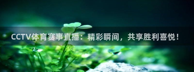 nba说球帝直播：CCTV体育赛事直播：精彩瞬间，共享胜利喜悦！