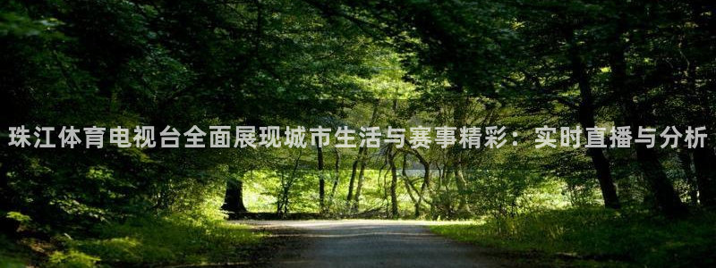 说球帝app官方免费下载：珠江体育电视台全面展现城市生活与赛事精彩：实时直播与分析