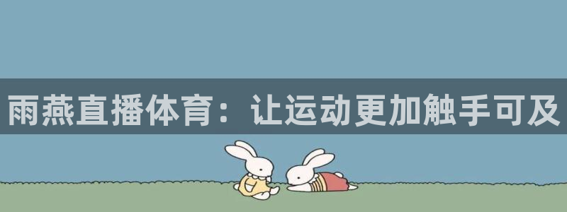 说球帝足球直播：雨燕直播体育：让运动更加触手可及