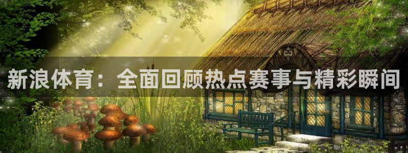 说球帝app官方免费下载：新浪体育：全面回顾热点赛事与精彩瞬间