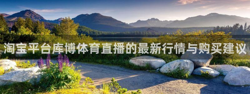 说球帝tv：淘宝平台库博体育直播的最新行情与购买建议