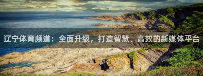 说球帝直播网站：辽宁体育频道：全面升级，打造智慧、高效的新媒体平台