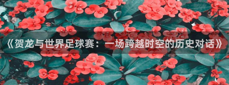 说球帝五大联赛直播免费观看：《贺龙与世界足球赛：一场跨越时空的历史对话》