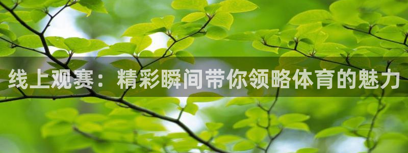 说球帝在线观看nba免费直播：线上观赛：精彩瞬间带你领略体育的魅力