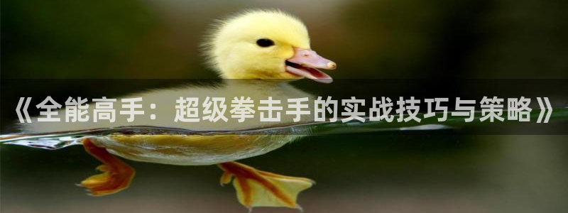 说球帝nba直播在线观看免费：《全能高手：超级拳击手的实战技巧与策略》