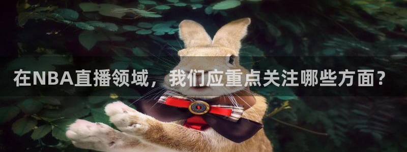 说球帝在线：在NBA直播领域，我们应重点关注哪些方面？
