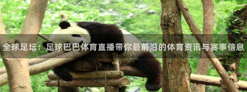 nba说球帝直播在线观看：全球足坛：足球巴巴体育直播带你最前沿的体育资讯与赛事信息