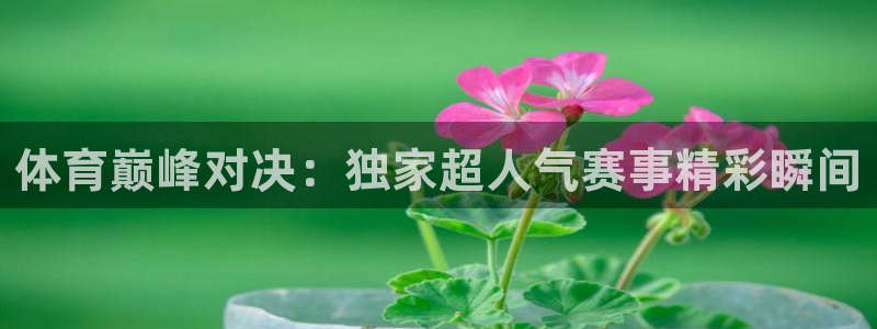 说球帝nba直播在线观看高清免费：体育巅峰对决：独家超人气赛事精彩瞬间