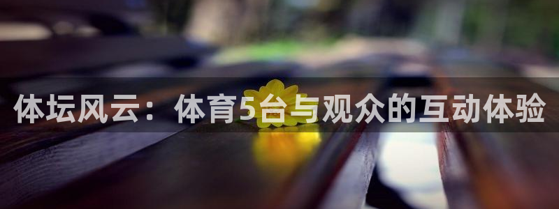 说球帝最新版免费直播：体坛风云：体育5台与观众的互动体验